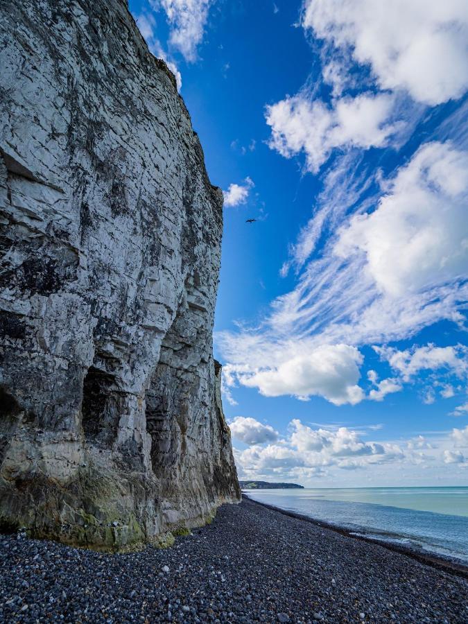 Le Grand Bleu - 400M Plage - Spacieux Дьепп Экстерьер фото